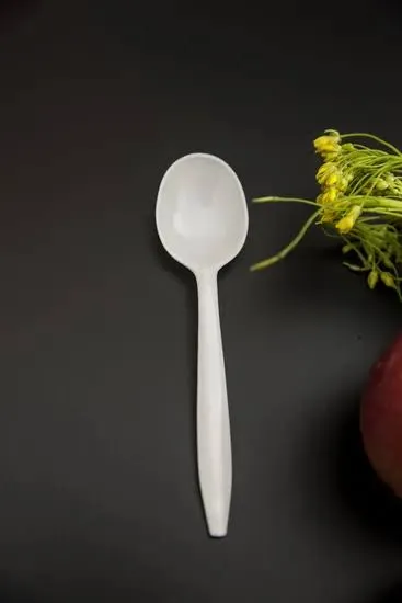 SPOON,SOUP