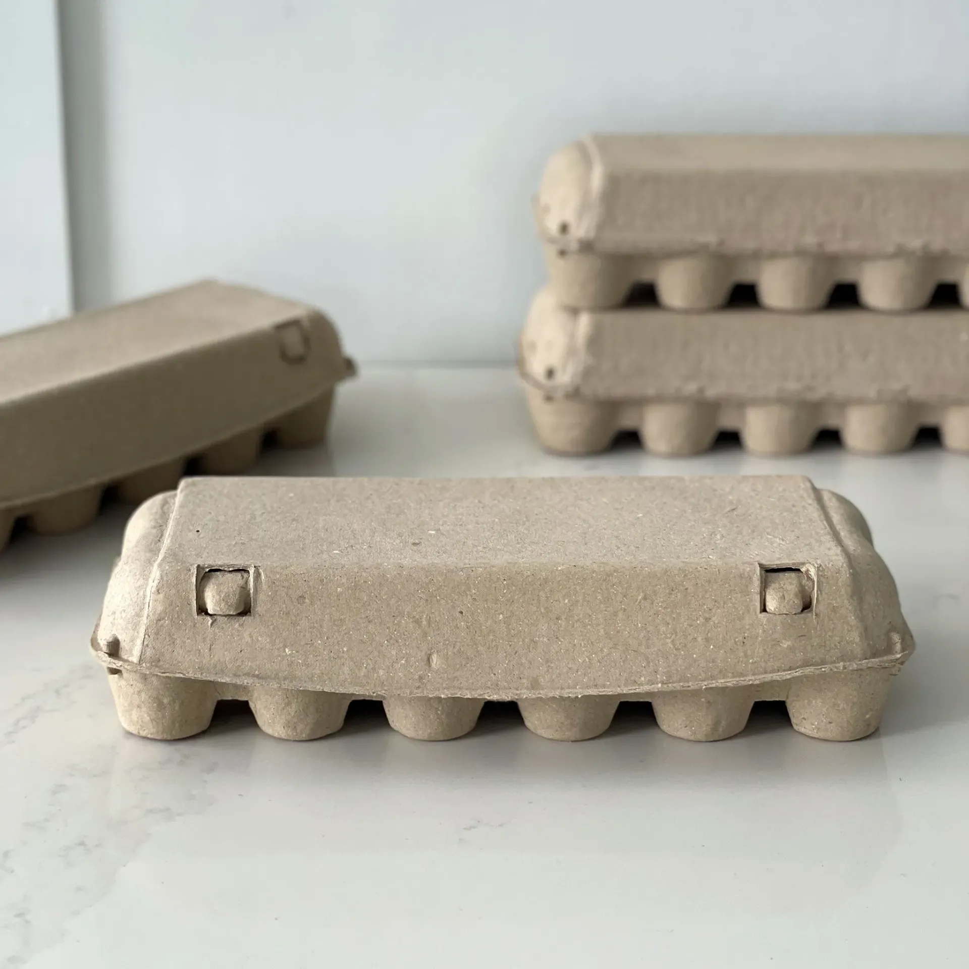 EGG BOX (12 HOLE, PAPER, 12x12x2IN, 1PK X 100PCS)